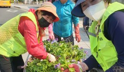 노인공익활동사업(도시재생지역지킴이1) 05월 활동 보고