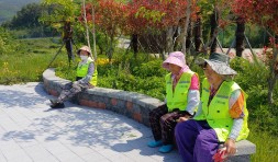 노인공익활동사업(마을소공원지킴이2) 5월 활동 보고