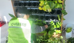 노인공익활동사업(초록담벼락) 02월 활동보고