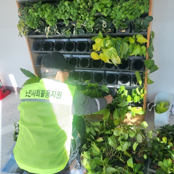 187f8f8a52ee49229f333d3172b67764_1772521