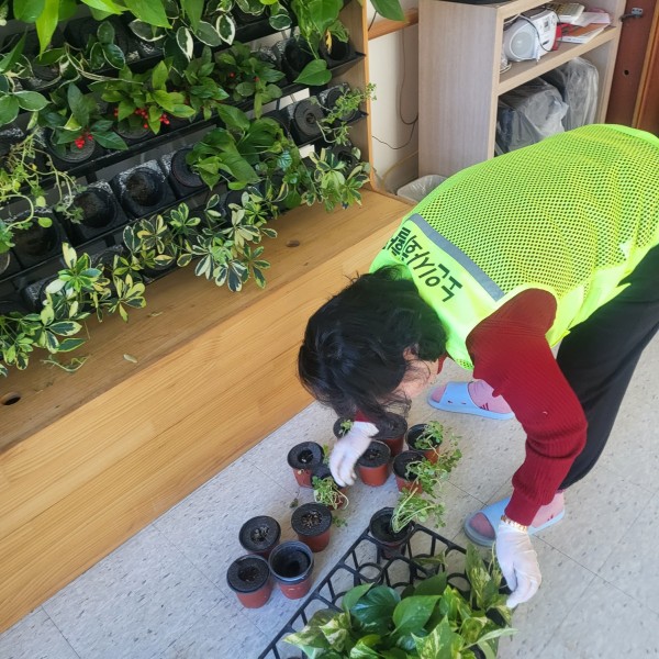 187f8f8a52ee49229f333d3172b67764_1772521