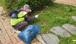 노인공익활동사업(녹색마을봉사단) 04월 활동보고
